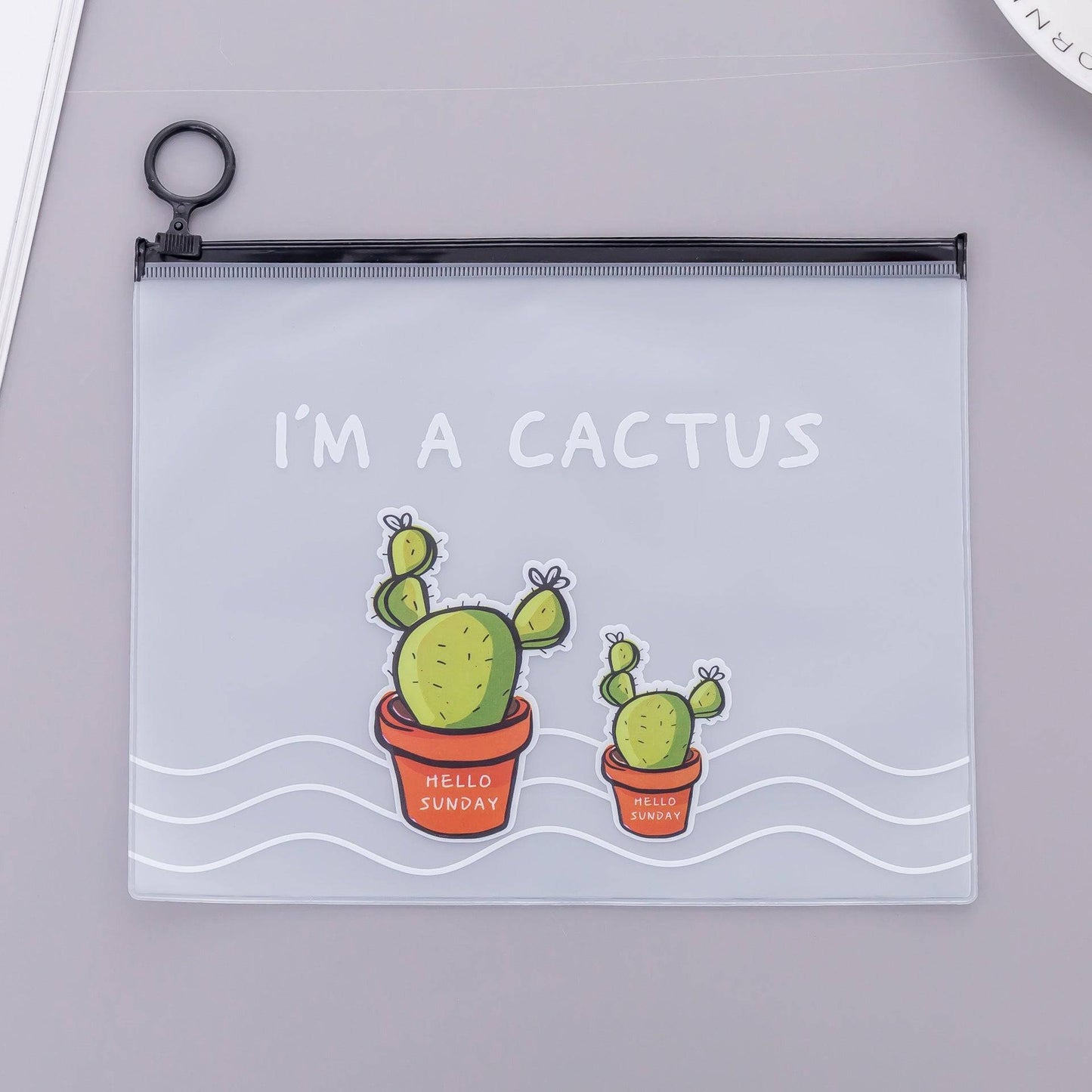 Cactus pencil case
