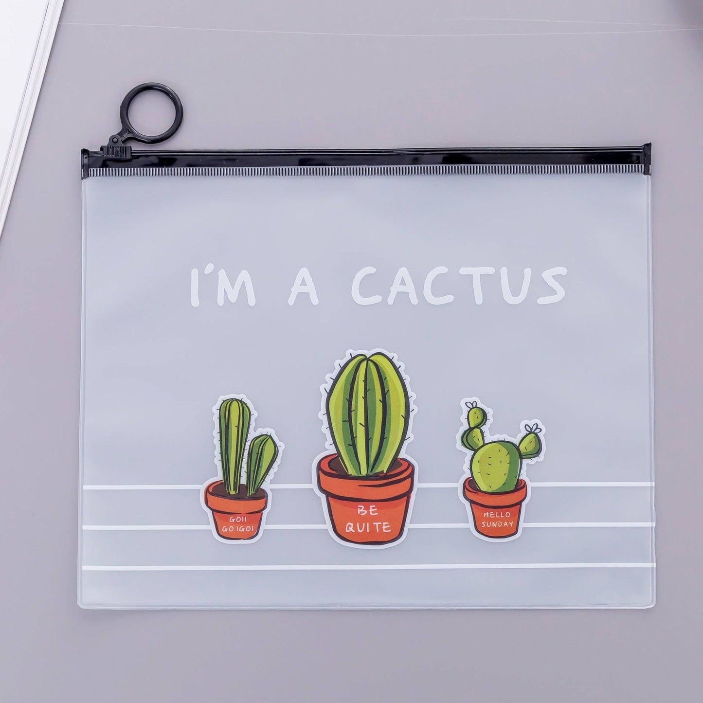 Cactus pencil case
